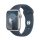 Apple Watch Series 9 GPS 41 mm Silver Aluminium Case with Sport Band S/M - Storm Blue (MR903QH/A)